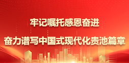 牢記囑托感恩奮進(jìn)奮力譜寫(xiě)中國(guó)式現(xiàn)代化貴池篇章