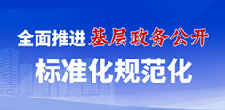 全面推進(jìn)基層政務(wù)公開(kāi)標(biāo)準(zhǔn)化規(guī)范化