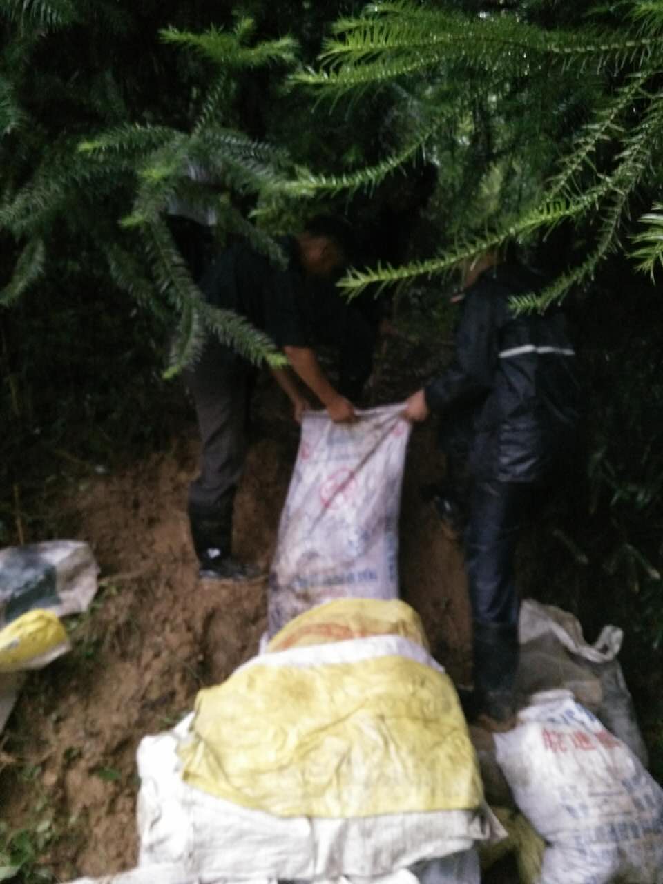 1467619206056067487.jpg 1467619206056067487.jpg