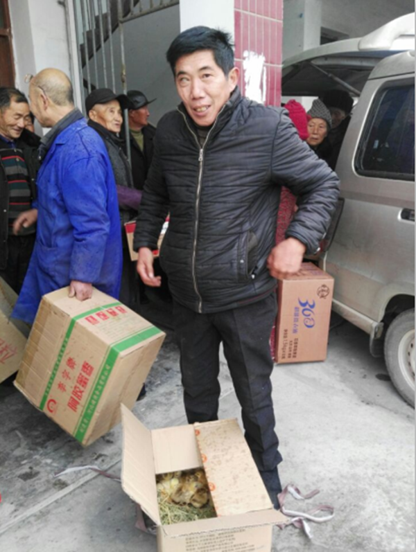 大興村發(fā)放雞苗_副本.png